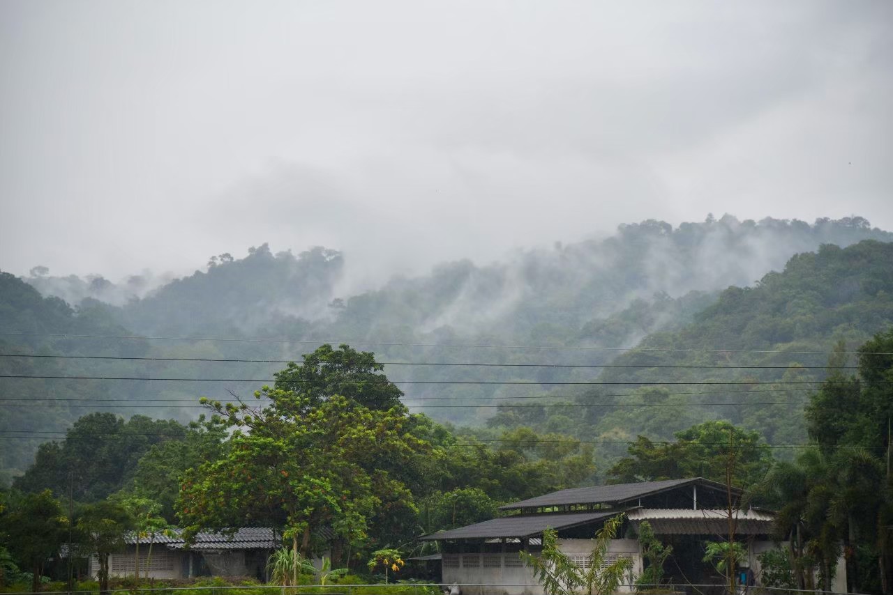 LINE_ALBUM_รูปภาพลาน ห้องพัก ระเบียบต่างๆ_241028_10